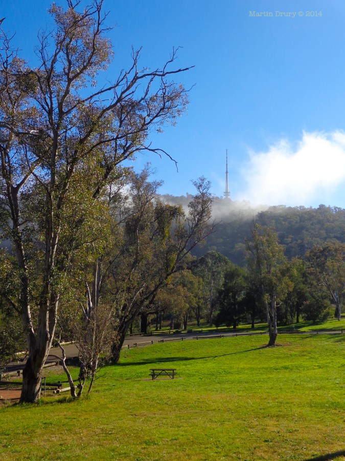 Canberra Mist 13