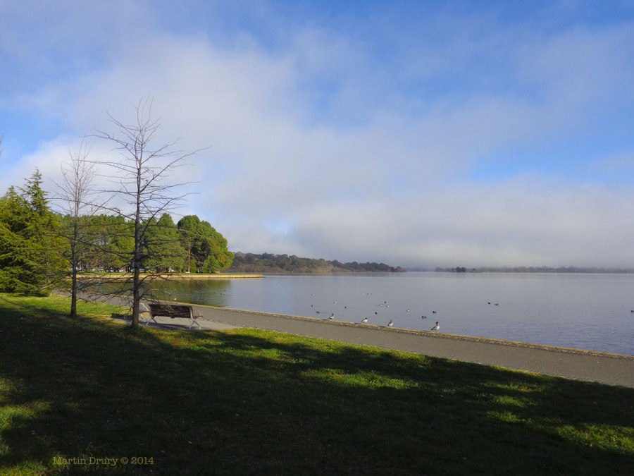 Canberra Mist 2
