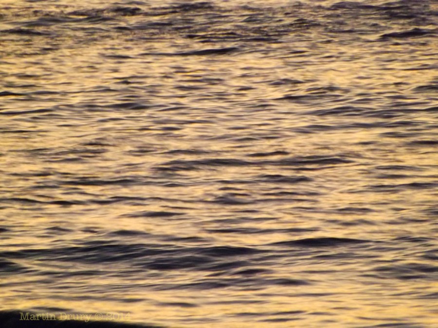 Korora Sunrise Two - 03