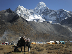 Cover Image Ama Dablam