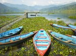 Boats on Lake Phewa