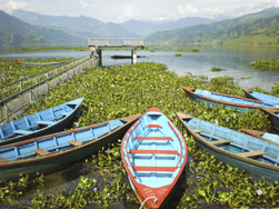 Pokhara Cover Image