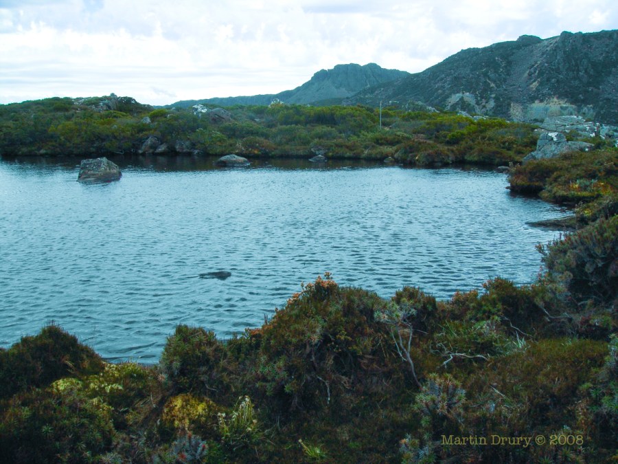 Wall of Jerusalem 12