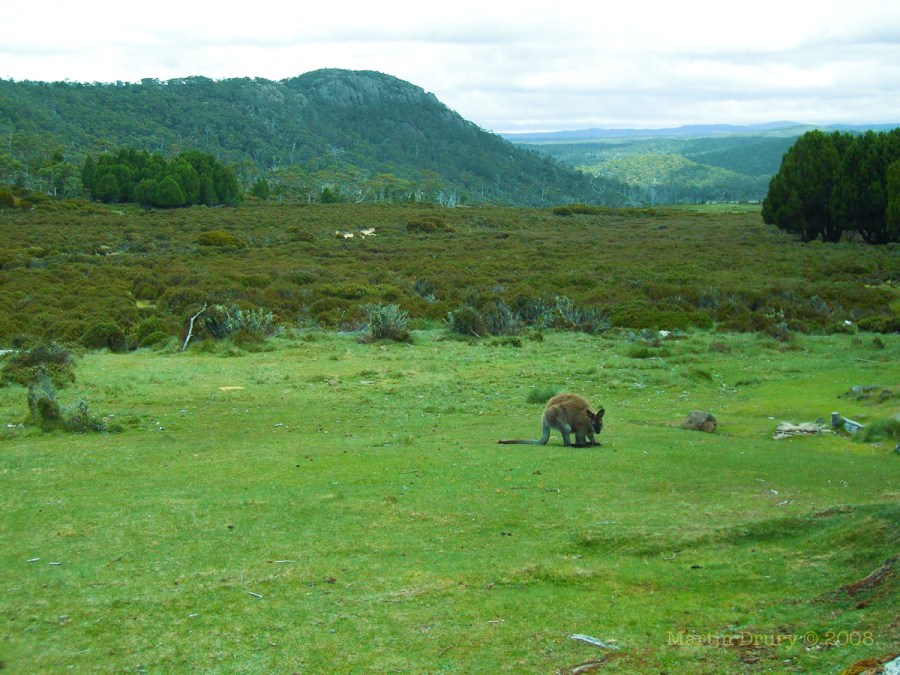 Wall of Jerusalem 18