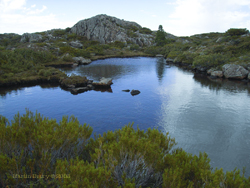 Wall of Jerusalem Cover