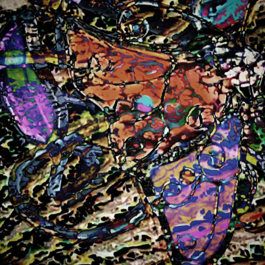 Colourful image made from images taken from our local St Vincent Depaul shop.